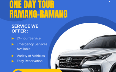 Rent Car One Day Tour Rammang-Rammang Made Easy